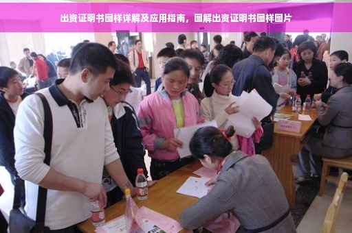 出资证明书图样详解及应用指南，图解出资证明书图样图片