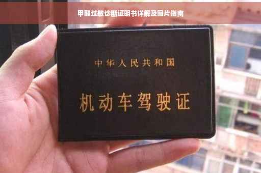 甲醛过敏诊断证明书详解及图片指南