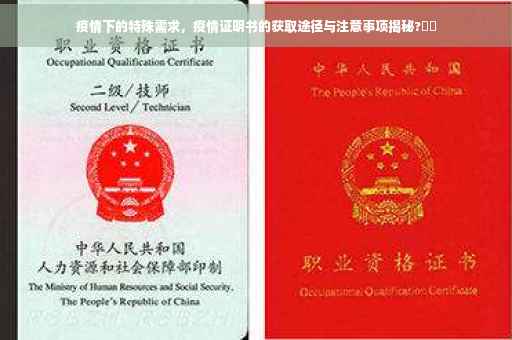 疫情下的特殊需求，疫情证明书的获取途径与注意事项揭秘?⚡️
