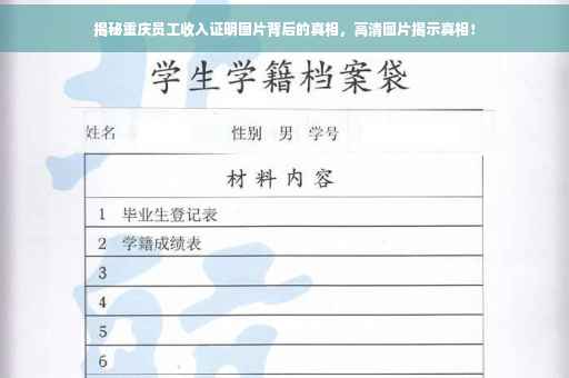 揭秘重庆员工收入证明图片背后的真相，高清图片揭示真相！