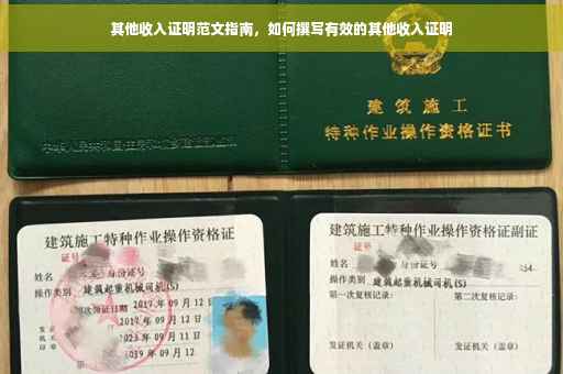 其他收入证明范文指南，如何撰写有效的其他收入证明