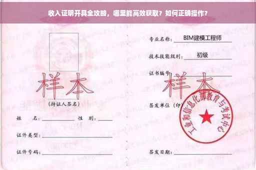 收入证明开具全攻略，哪里能高效获取？如何正确操作？