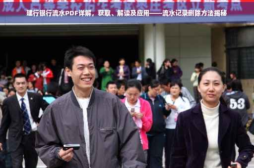 建行银行流水PDF详解，获取、解读及应用——流水记录删除方法揭秘