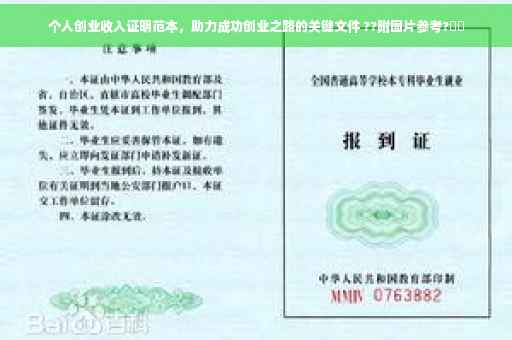个人创业收入证明范本，助力成功创业之路的关键文件 ??附图片参考?⚡️