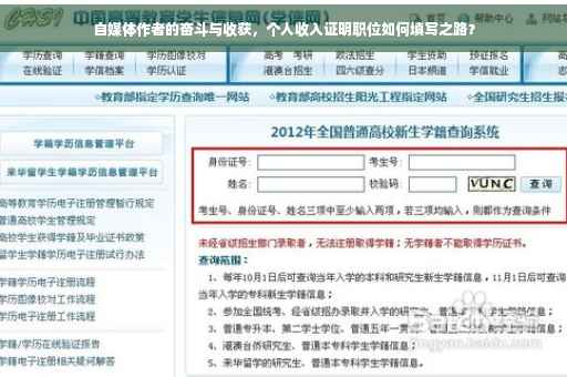 自媒体作者的奋斗与收获，个人收入证明职位如何填写之路？