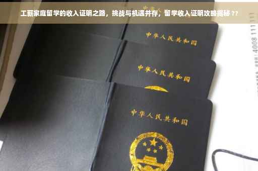 工薪家庭留学的收入证明之路，挑战与机遇并存，留学收入证明攻略揭秘 ??