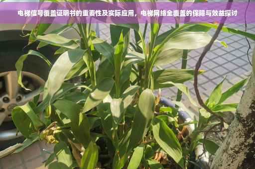 电梯信号覆盖证明书的重要性及实际应用，电梯网络全覆盖的保障与效益探讨