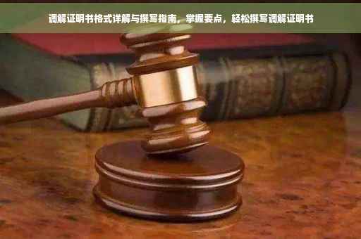 调解证明书格式详解与撰写指南，掌握要点，轻松撰写调解证明书