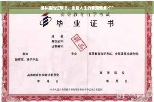 桂林离婚证明书，重塑人生的崭新起点?⚡️