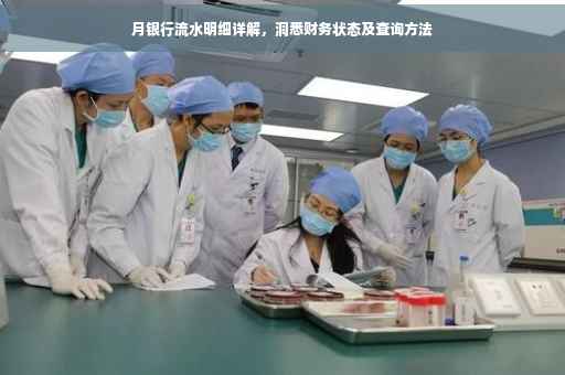 月银行流水明细详解，洞悉财务状态及查询方法