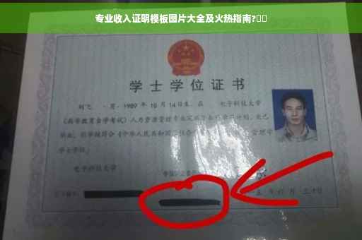 专业收入证明模板图片大全及火热指南?⚡️