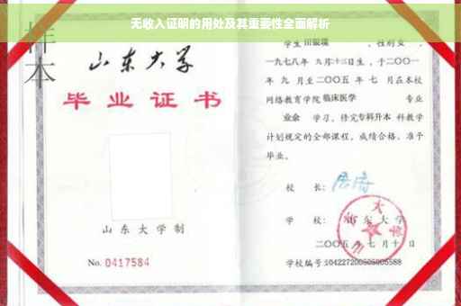 无收入证明的用处及其重要性全面解析