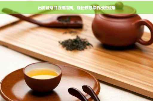 出资证明书办理指南，轻松获取您的出资证明