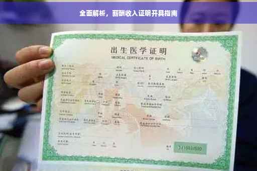 全面解析，薪酬收入证明开具指南