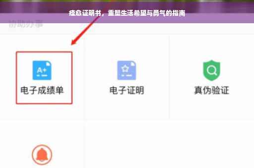 痊愈证明书，重塑生活希望与勇气的指南
