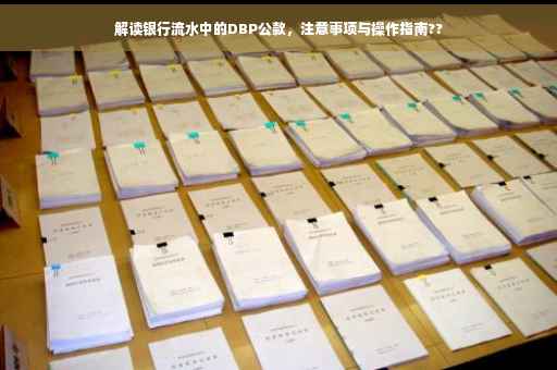 解读银行流水中的DBP公款，注意事项与操作指南??