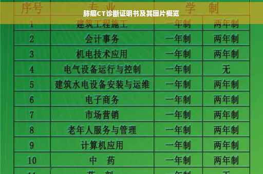 肺癌CT诊断证明书及其图片概览