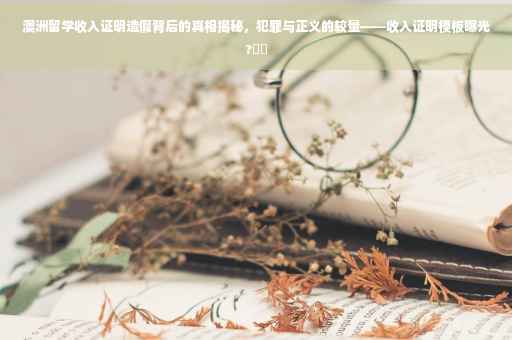 澳洲留学收入证明造假背后的真相揭秘，犯罪与正义的较量——收入证明模板曝光?⚡️