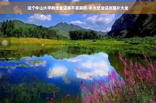 这个中山大学的毕业证是不是真的-中大毕业证书图片大全