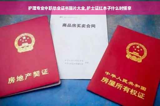 护理专业中职毕业证书图片大全,护士证红本子什么时候拿