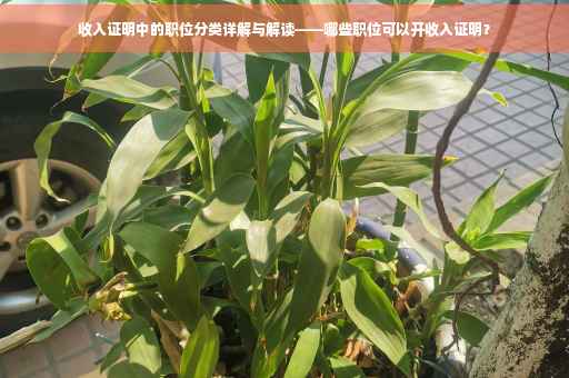 收入证明中的职位分类详解与解读——哪些职位可以开收入证明？