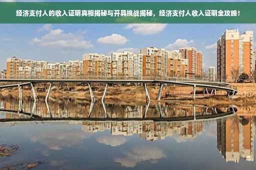 经济支付人的收入证明真相揭秘与开具挑战揭秘，经济支付人收入证明全攻略！