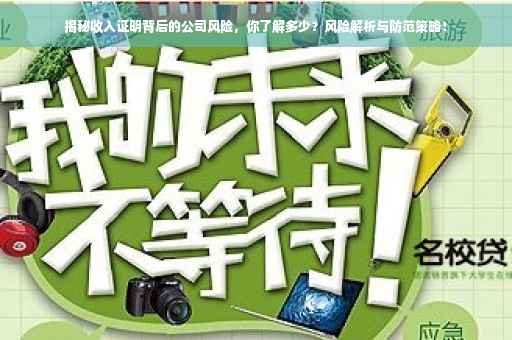 揭秘收入证明背后的公司风险，你了解多少？风险解析与防范策略！