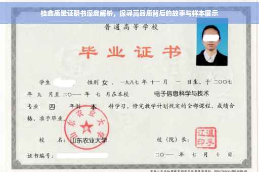 桂鑫质量证明书深度解析，探寻高品质背后的故事与样本展示