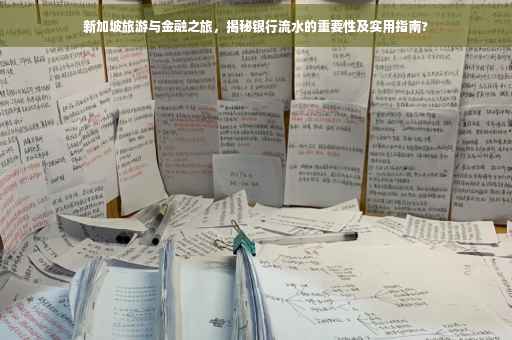 新加坡旅游与金融之旅，揭秘银行流水的重要性及实用指南?