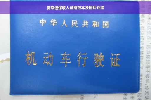 南京低保收入证明范本及图片介绍