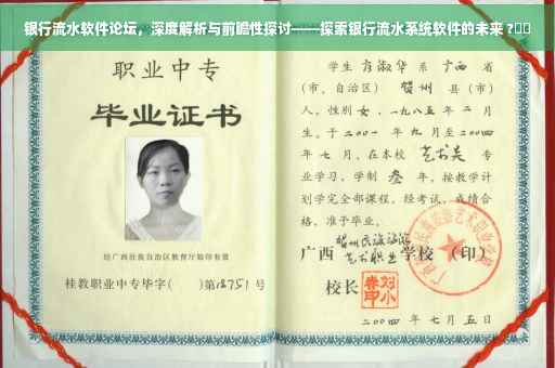 银行流水软件论坛，深度解析与前瞻性探讨——探索银行流水系统软件的未来 ?⚡️