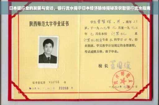 日本银行业的发展与变迁，银行流水揭示日本经济脉络揭秘及获取银行流水指南