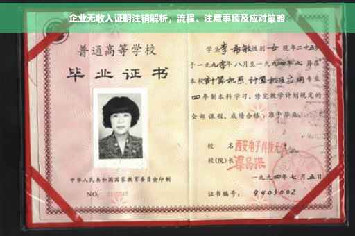 企业无收入证明注销解析，流程、注意事项及应对策略