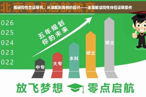 揭秘同性恋证明书，从误解到真相的探讨——全面解读同性伴侣证明条件