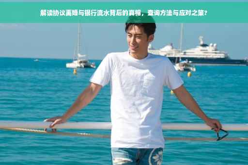 解读协议离婚与银行流水背后的真相，查询方法与应对之策?