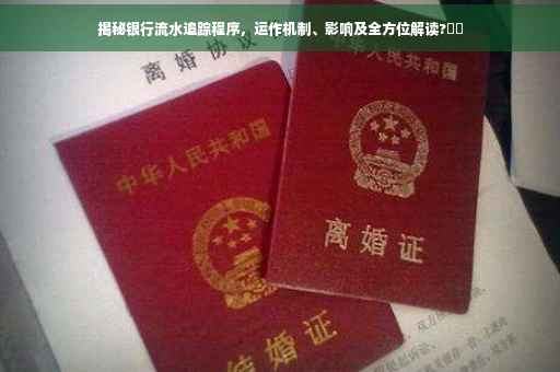 揭秘银行流水追踪程序，运作机制、影响及全方位解读?⚡️