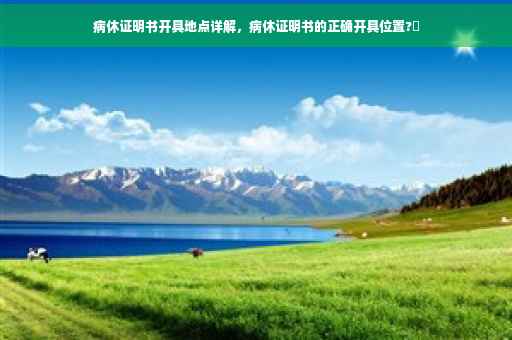 病休证明书开具地点详解，病休证明书的正确开具位置?✨