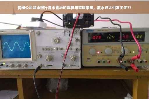 揭秘公司监事银行流水背后的真相与监管策略，流水过大引发关注??