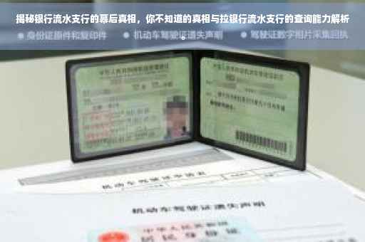 揭秘银行流水支行的幕后真相，你不知道的真相与拉银行流水支行的查询能力解析。