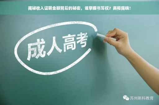 揭秘收入证明金额背后的秘密，谁掌握书写权？真相揭晓！