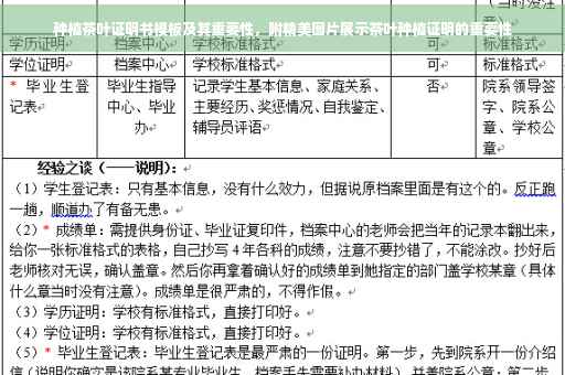 种植茶叶证明书模板及其重要性，附精美图片展示茶叶种植证明的重要性