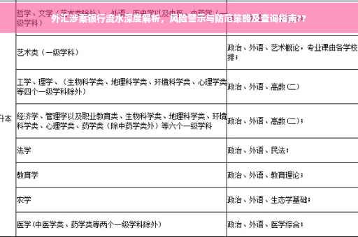 外汇涉案银行流水深度解析，风险警示与防范策略及查询指南??
