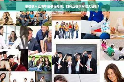 单位收入证明申请低保指南，如何正确撰写收入证明？