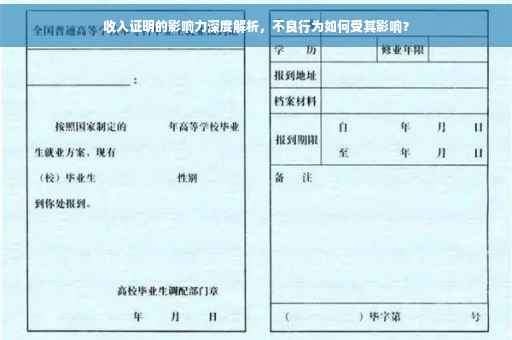 收入证明的影响力深度解析，不良行为如何受其影响？