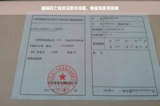 猫咪死亡有效证明书详解，模板及使用指南