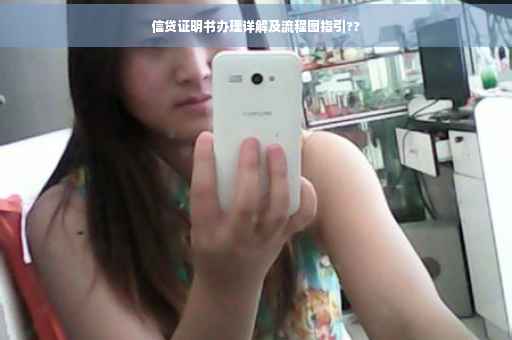 信贷证明书办理详解及流程图指引??