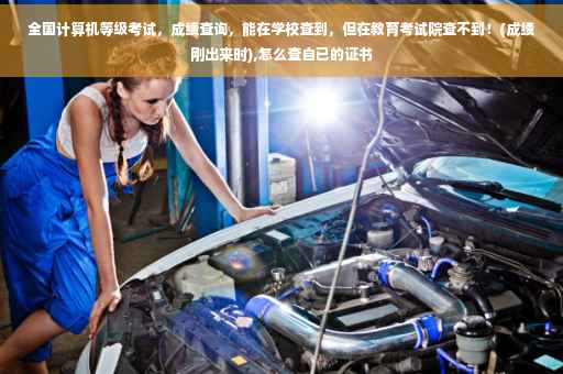 全国计算机等级考试，成绩查询，能在学校查到，但在教育考试院查不到！(成绩刚出来时),怎么查自已的证书