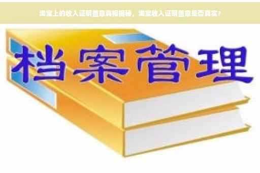 淘宝上的收入证明盖章真相揭秘，淘宝收入证明盖章是否真实？