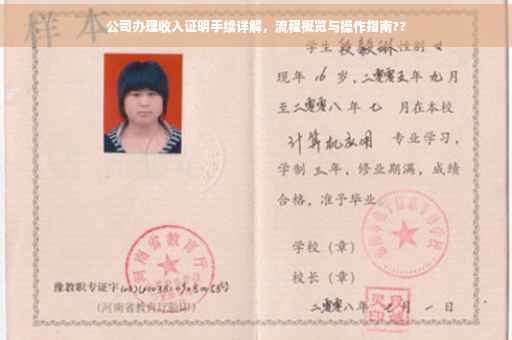 公司办理收入证明手续详解，流程概览与操作指南??