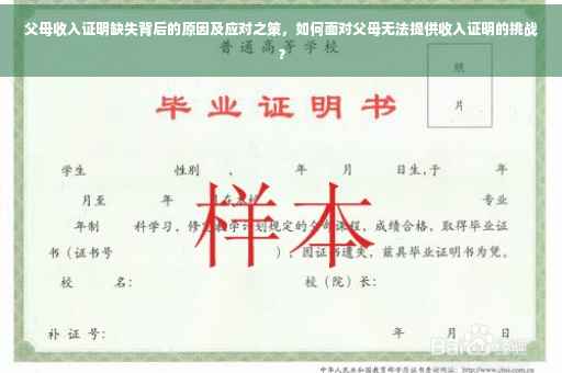 父母收入证明缺失背后的原因及应对之策，如何面对父母无法提供收入证明的挑战？